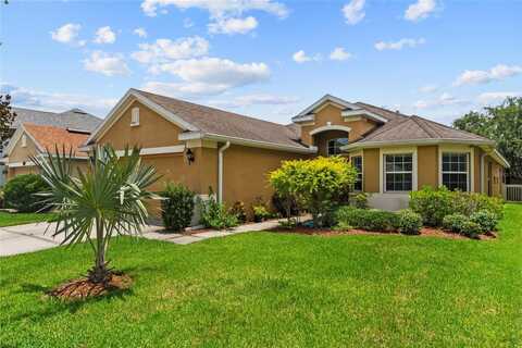 11129 ANCIENT FUTURES DRIVE, TAMPA, FL 33647