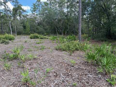 5578 LASSEN STREET, KEYSTONE HEIGHTS, FL 32656