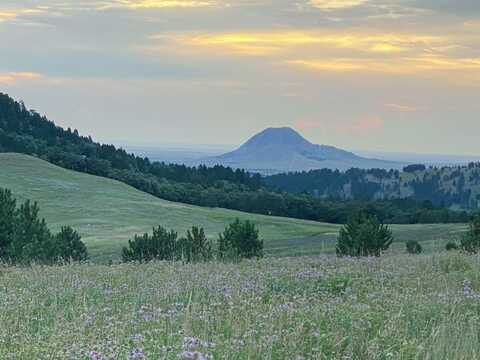 149.82+/- acres, Whitewood, SD 57793