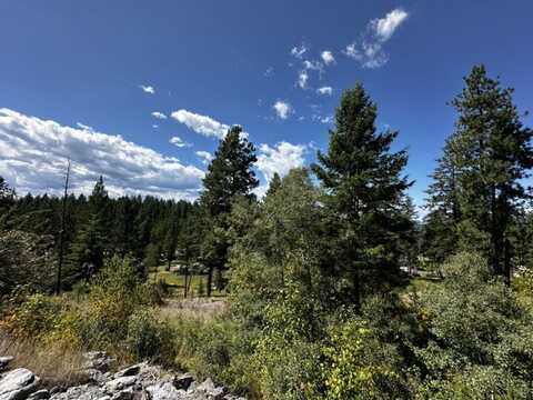 56 Bridle Court, Bigfork, MT 59911