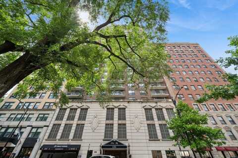 1250 N Dearborn Street, Chicago, IL 60610