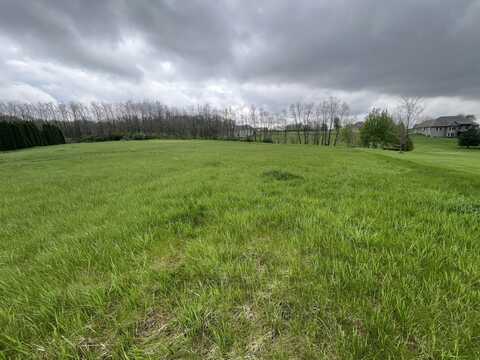 8952 Wilcox Court, Newark, IL 60541