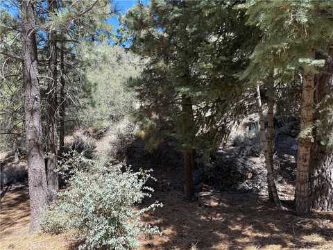 1420 Linden Drive, Pine Mountain Club, CA 93222