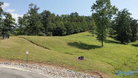 Lot 71 County Road 767, Cedar Bluff, AL 35959
