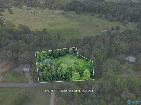 1.80 Acres Weatherly Avenue, Albertville, AL 35950