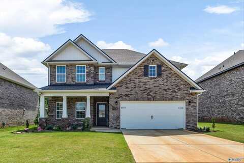 14118 Harvest Ridge Lane, Athens, AL 35611