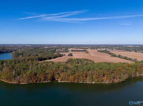 430 Wheeler Hills Road, Rogersville, AL 35652