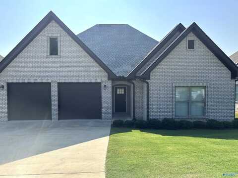101 Briarwood Street, Springville, AL 35146