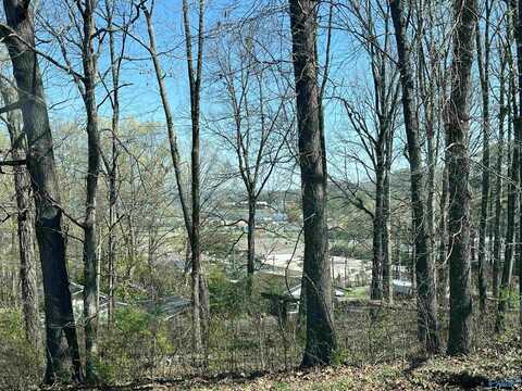 43-45 Gaines Street, Guntersville, AL 35976