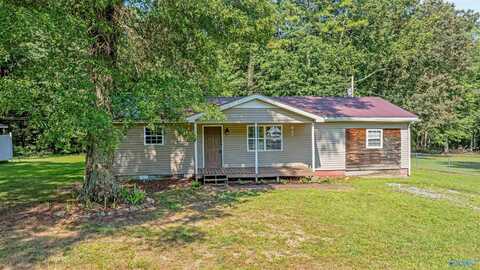 205 Rainbow Avenue, Henager, AL 35978