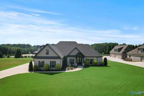 19881 Capitol Hill Drive, Tanner, AL 35671