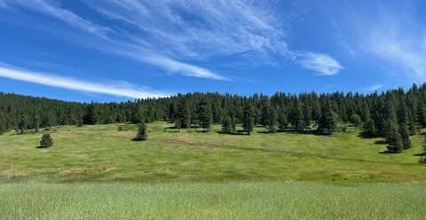 3635 B BRECKENRIDGE RD, RICE, WA 99167