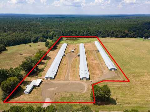 4442 FM 1992, San Augustine, TX 75972