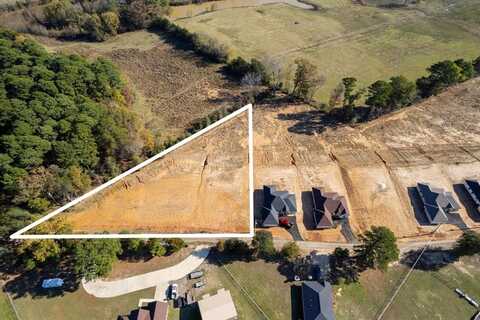 Lot 1 & 2 CR 4323, Pittsburg, TX 75686