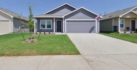 807 Ginkgo Way, Princeton, TX 75407