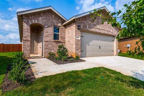 717 Presidio Street, Aubrey, TX 76227