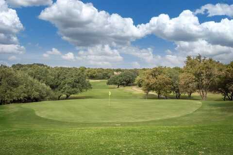 31005 Doe Run Court, Whitney, TX 76692