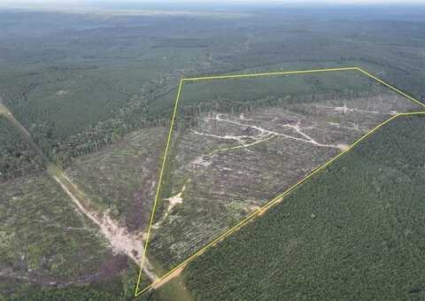 1 Red Rock Road, Robeline, LA 71469