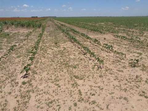 169 Acres FM 617, No City, TX 79521