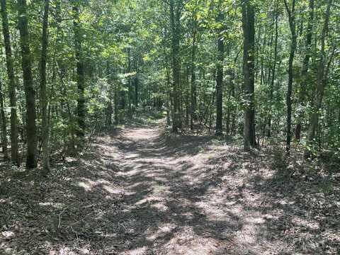 0 Canaan Road, Fayette, AL 35555