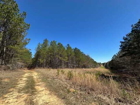 3 County Road 5112, Ethel, MS 38829