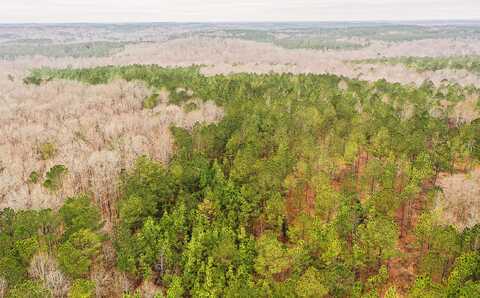 TBD Tower Road, Franklin, GA 30217