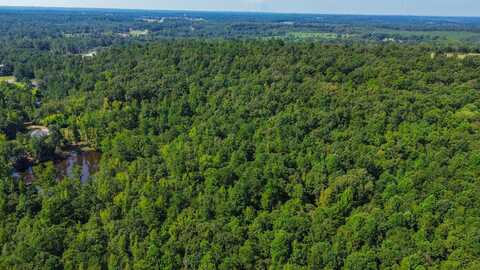 0 Hwy 145, Clanton, AL 35046