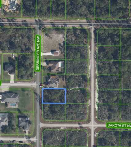 540 Derringer NW Ave, Lake Placid, FL 33852