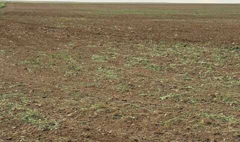 000 Rd 34, Cheyenne Wells, CO 80810