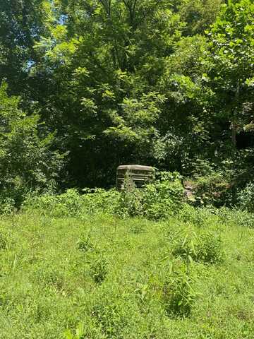 317 Silver Lick Holler Road, Vanceburg, KY 41179