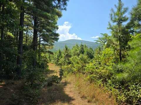 1 TBD Sugarloaf Mountain Poteau Oklahoma, Poteau, OK 74953