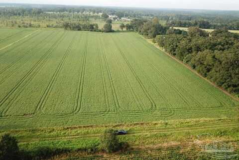16+ Acres N Hwy 87, Milton, FL 32570
