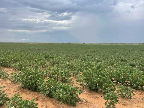 Cr 151 County Rd 151, Colorado City, TX 79512