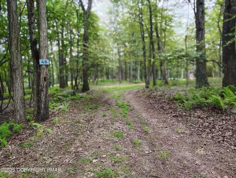 Lot 48 Mountain Terrace, White Haven, PA 18661