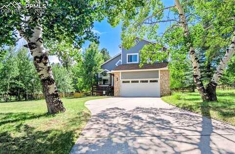 441 Black Bear Trail, Woodland Park, CO 80863
