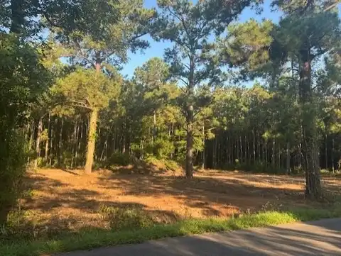 471 White Chapel Rd., Carriere, MS 39426