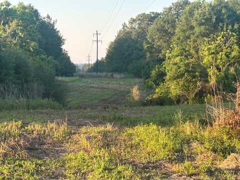 000 Lester Seal Road, Lumberton, MS 39455