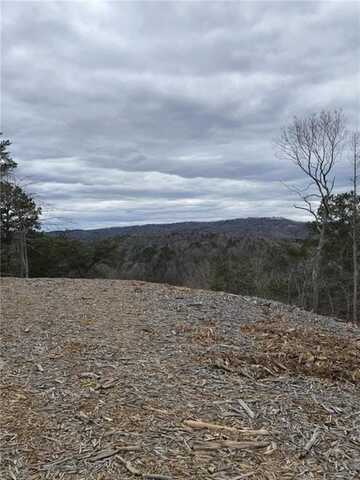 undefined, Talking Rock, GA 30175