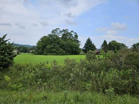 3 Butternut, GALENA, IL 61036
