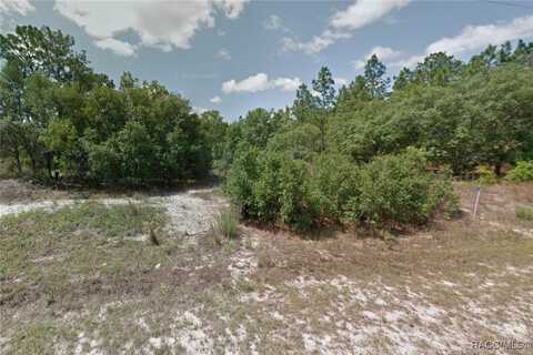 3332 W Yardley Lane, Dunnellon, FL 34433