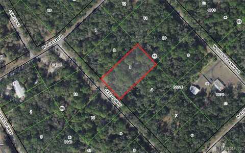 9195 N Cereus Way, Crystal River, FL 34428