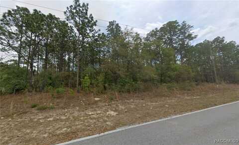 8211 N Santos Drive, Citrus Springs, FL 34434