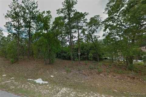 7925 N Primrose Drive, Citrus Springs, FL 34434