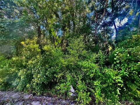 8356 W Bradshaw Street, Homosassa, FL 34448