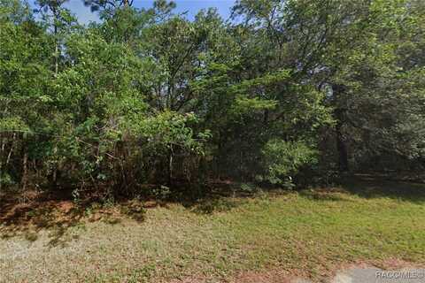 715 W Pitler Place, Citrus Springs, FL 34434