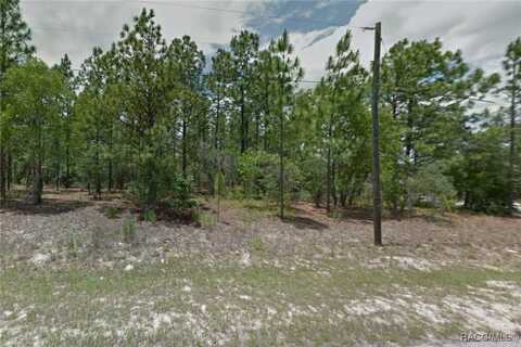 8182 N Janeaux Drive, Citrus Springs, FL 34434