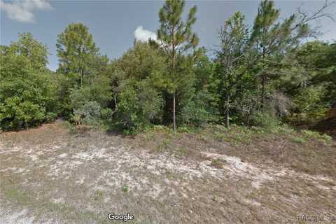 3339 W Early Place, Dunnellon, FL 34433