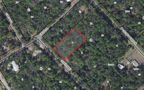 9217 N Cereus Way, Crystal River, FL 34428