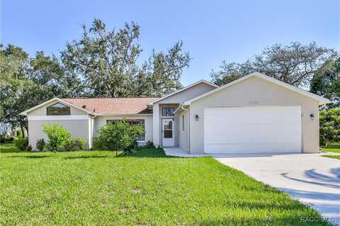 7235 Anhinga Court, Spring Hill, FL 34607