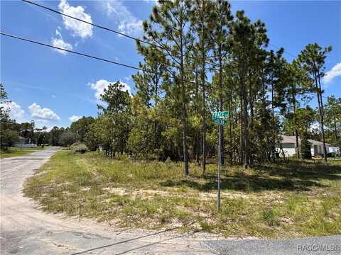 7722 N Galena Avenue, Citrus Springs, FL 34434
